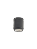 MINI SCOPE CEILING