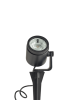 BIG SCOPE NARROW