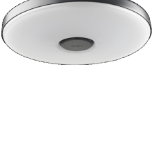 DISC PENDANT